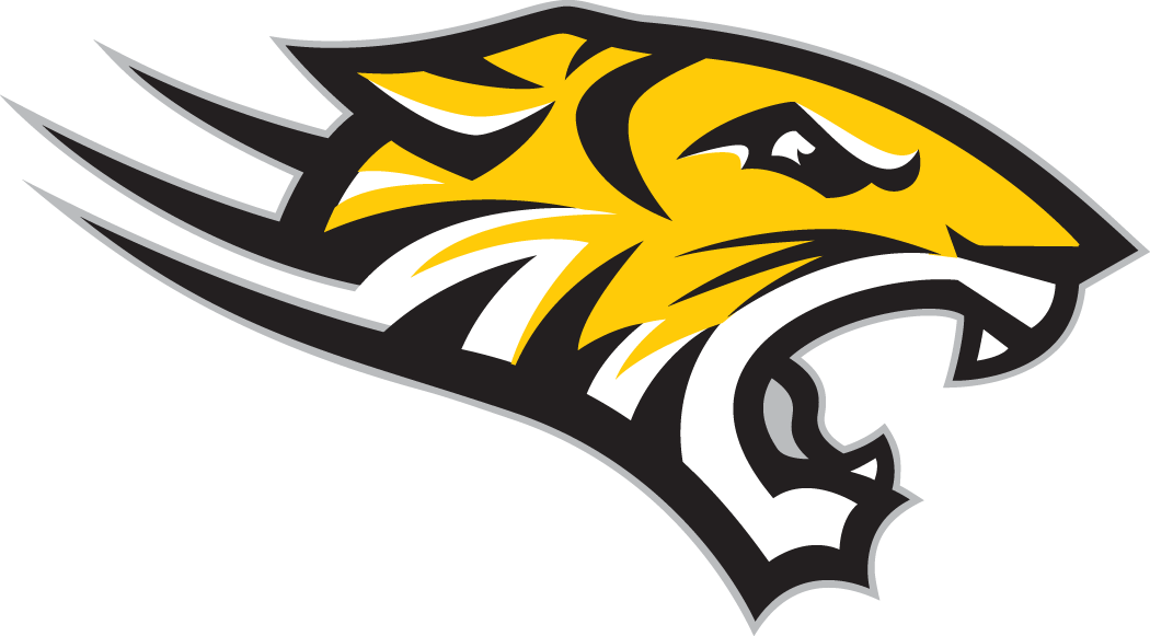 Towson Tigers 2004-Pres Alternate Logo v4 diy DTF decal sticker